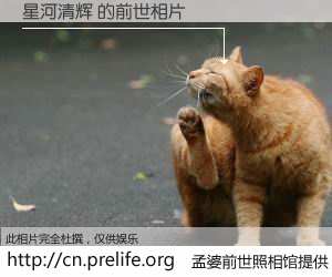 #孟婆前世照相馆# 【星河清辉 的前世相片】我们都曾从奈何桥上走过，喝下三碗忘川之水烹煮的孟婆汤，忘却了前尘旧事。孟婆前世照相馆，保存着你前世的数码相片。星河清辉 的前世相片，有图有真相：