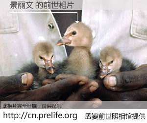 #孟婆前世照相馆# 【景丽文 的前世相片】我们都曾从奈何桥上走过，喝下三碗忘川之水烹煮的孟婆汤，忘却了前尘旧事。孟婆前世照相馆，保存着你前世的数码相片。景丽文 的前世相片，有图有真相：