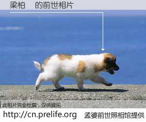 #孟婆前世照相馆# 【梁柏謙 的前世相片】我们都曾从奈何桥上走过，喝下三碗忘川之水烹煮的孟婆汤，忘却了前尘旧事。孟婆前世照相馆，保存着你前世的数码相片。梁柏謙 的前世相片，有图有真相：