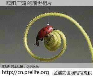 #孟婆前世照相馆# 【欧阳广鸿 的前世相片】我们都曾从奈何桥上走过，喝下三碗忘川之水烹煮的孟婆汤，忘却了前尘旧事。孟婆前世照相馆，保存着你前世的数码相片。欧阳广鸿 的前世相片，有图有真相：