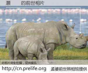 #孟婆前世照相馆# 【灏氬 的前世相片】我们都曾从奈何桥上走过，喝下三碗忘川之水烹煮的孟婆汤，忘却了前尘旧事。孟婆前世照相馆，保存着你前世的数码相片。灏氬 的前世相片，有图有真相：