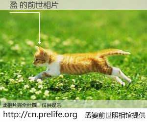 #孟婆前世照相馆# 【盈 的前世相片】我们都曾从奈何桥上走过，喝下三碗忘川之水烹煮的孟婆汤，忘却了前尘旧事。孟婆前世照相馆，保存着你前世的数码相片。盈 的前世相片，有图有真相：