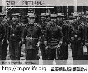 #孟婆前世照相馆# 【艾草 貓 的前世相片】我们都曾从奈何桥上走过，喝下三碗忘川之水烹煮的孟婆汤，忘却了前尘旧事。孟婆前世照相馆，保存着你前世的数码相片。艾草 貓 的前世相片，有图有真相：