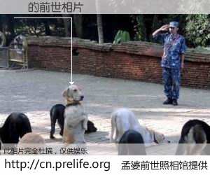 #孟婆前世照相馆# 【莔 的前世相片】我们都曾从奈何桥上走过，喝下三碗忘川之水烹煮的孟婆汤，忘却了前尘旧事。孟婆前世照相馆，保存着你前世的数码相片。莔 的前世相片，有图有真相：