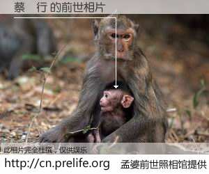 #孟婆前世照相馆# 【蔡傑行 的前世相片】我们都曾从奈何桥上走过，喝下三碗忘川之水烹煮的孟婆汤，忘却了前尘旧事。孟婆前世照相馆，保存着你前世的数码相片。蔡傑行 的前世相片，有图有真相：