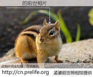 #孟婆前世照相馆# 【葉達鵬 的前世相片】我们都曾从奈何桥上走过，喝下三碗忘川之水烹煮的孟婆汤，忘却了前尘旧事。孟婆前世照相馆，保存着你前世的数码相片。葉達鵬 的前世相片，有图有真相：