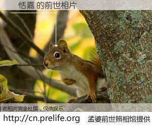 #孟婆前世照相馆# 【許恬嘉 的前世相片】我们都曾从奈何桥上走过，喝下三碗忘川之水烹煮的孟婆汤，忘却了前尘旧事。孟婆前世照相馆，保存着你前世的数码相片。許恬嘉 的前世相片，有图有真相：