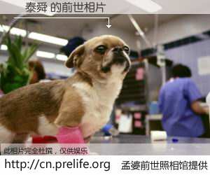 #孟婆前世照相馆# 【陳泰舜 的前世相片】我们都曾从奈何桥上走过，喝下三碗忘川之水烹煮的孟婆汤，忘却了前尘旧事。孟婆前世照相馆，保存着你前世的数码相片。陳泰舜 的前世相片，有图有真相：