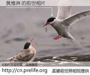 #孟婆前世照相馆# 【黄维洲 的前世相片】我们都曾从奈何桥上走过，喝下三碗忘川之水烹煮的孟婆汤，忘却了前尘旧事。孟婆前世照相馆，保存着你前世的数码相片。黄维洲 的前世相片，有图有真相：