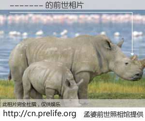 #孟婆前世照相馆# 【------- 的前世相片】我们都曾从奈何桥上走过，喝下三碗忘川之水烹煮的孟婆汤，忘却了前尘旧事。孟婆前世照相馆，保存着你前世的数码相片。------- 的前世相片，有图有真相：