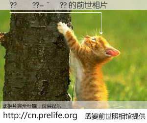 #孟婆前世照相馆# 【??��??-��?? 的前世相片】我们都曾从奈何桥上走过，喝下三碗忘川之水烹煮的孟婆汤，忘却了前尘旧事。孟婆前世照相馆，保存着你前世的数码相片。??��??-��?? 的前世相片，有图有真相：