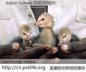 #孟婆前世照相馆# 【Adam Szetela 的前世相片】我们都曾从奈何桥上走过，喝下三碗忘川之水烹煮的孟婆汤，忘却了前尘旧事。孟婆前世照相馆，保存着你前世的数码相片。Adam Szetela 的前世相片，有图有真相：
