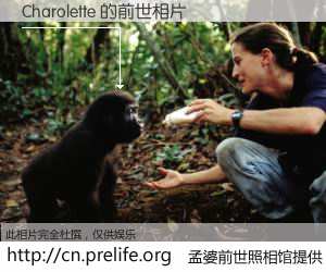 #孟婆前世照相馆# 【Charolette 的前世相片】我们都曾从奈何桥上走过，喝下三碗忘川之水烹煮的孟婆汤，忘却了前尘旧事。孟婆前世照相馆，保存着你前世的数码相片。Charolette 的前世相片，有图有真相：
