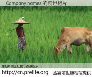 #孟婆前世照相馆# 【Company names 的前世相片】我们都曾从奈何桥上走过，喝下三碗忘川之水烹煮的孟婆汤，忘却了前尘旧事。孟婆前世照相馆，保存着你前世的数码相片。Company names 的前世相片，有图有真相：