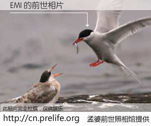 #孟婆前世照相馆# 【EMI 的前世相片】我们都曾从奈何桥上走过，喝下三碗忘川之水烹煮的孟婆汤，忘却了前尘旧事。孟婆前世照相馆，保存着你前世的数码相片。EMI 的前世相片，有图有真相：