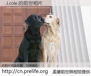 #孟婆前世照相馆# 【J.cole 的前世相片】我们都曾从奈何桥上走过，喝下三碗忘川之水烹煮的孟婆汤，忘却了前尘旧事。孟婆前世照相馆，保存着你前世的数码相片。J.cole 的前世相片，有图有真相：