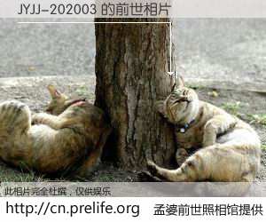 #孟婆前世照相馆# 【JYJJ-202003 的前世相片】我们都曾从奈何桥上走过，喝下三碗忘川之水烹煮的孟婆汤，忘却了前尘旧事。孟婆前世照相馆，保存着你前世的数码相片。JYJJ-202003 的前世相片，有图有真相：