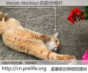 #孟婆前世照相馆# 【Mariah Mackays 的前世相片】我们都曾从奈何桥上走过，喝下三碗忘川之水烹煮的孟婆汤，忘却了前尘旧事。孟婆前世照相馆，保存着你前世的数码相片。Mariah Mackays 的前世相片，有图有真相：