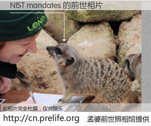 #孟婆前世照相馆# 【NIST mandates 的前世相片】我们都曾从奈何桥上走过，喝下三碗忘川之水烹煮的孟婆汤，忘却了前尘旧事。孟婆前世照相馆，保存着你前世的数码相片。NIST mandates 的前世相片，有图有真相：