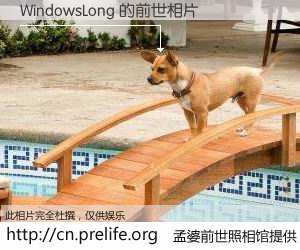 #孟婆前世照相馆# 【WindowsLong 的前世相片】我们都曾从奈何桥上走过，喝下三碗忘川之水烹煮的孟婆汤，忘却了前尘旧事。孟婆前世照相馆，保存着你前世的数码相片。WindowsLong 的前世相片，有图有真相：