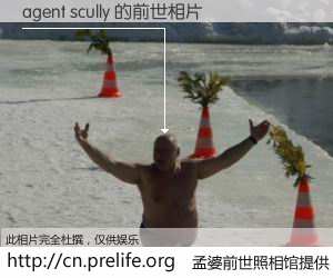 #孟婆前世照相馆# 【agent scully 的前世相片】我们都曾从奈何桥上走过，喝下三碗忘川之水烹煮的孟婆汤，忘却了前尘旧事。孟婆前世照相馆，保存着你前世的数码相片。agent scully 的前世相片，有图有真相：