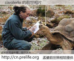 #孟婆前世照相馆# 【cavalierfei 的前世相片】我们都曾从奈何桥上走过，喝下三碗忘川之水烹煮的孟婆汤，忘却了前尘旧事。孟婆前世照相馆，保存着你前世的数码相片。cavalierfei 的前世相片，有图有真相：