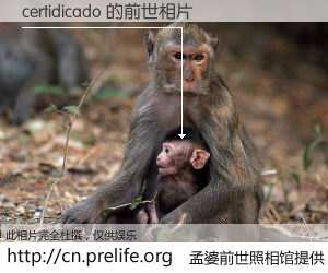 #孟婆前世照相馆# 【certidicado 的前世相片】我们都曾从奈何桥上走过，喝下三碗忘川之水烹煮的孟婆汤，忘却了前尘旧事。孟婆前世照相馆，保存着你前世的数码相片。certidicado 的前世相片，有图有真相：