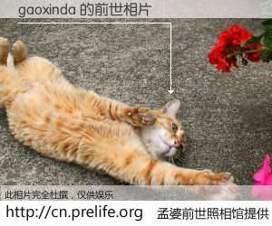 #孟婆前世照相馆# 【gaoxinda 的前世相片】我们都曾从奈何桥上走过，喝下三碗忘川之水烹煮的孟婆汤，忘却了前尘旧事。孟婆前世照相馆，保存着你前世的数码相片。gaoxinda 的前世相片，有图有真相：