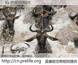 #孟婆前世照相馆# 【hs 的前世相片】我们都曾从奈何桥上走过，喝下三碗忘川之水烹煮的孟婆汤，忘却了前尘旧事。孟婆前世照相馆，保存着你前世的数码相片。hs 的前世相片，有图有真相：