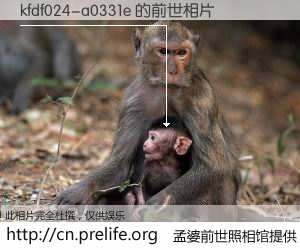 #孟婆前世照相馆# 【kfdf024-a0331e 的前世相片】我们都曾从奈何桥上走过，喝下三碗忘川之水烹煮的孟婆汤，忘却了前尘旧事。孟婆前世照相馆，保存着你前世的数码相片。kfdf024-a0331e 的前世相片，有图有真相：