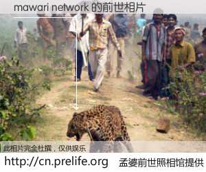 #孟婆前世照相馆# 【mawari network 的前世相片】我们都曾从奈何桥上走过，喝下三碗忘川之水烹煮的孟婆汤，忘却了前尘旧事。孟婆前世照相馆，保存着你前世的数码相片。mawari network 的前世相片，有图有真相：