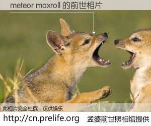 #孟婆前世照相馆# 【meteor maxroll 的前世相片】我们都曾从奈何桥上走过，喝下三碗忘川之水烹煮的孟婆汤，忘却了前尘旧事。孟婆前世照相馆，保存着你前世的数码相片。meteor maxroll 的前世相片，有图有真相：