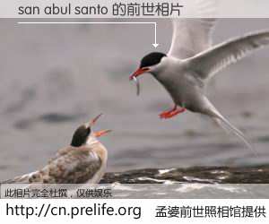#孟婆前世照相馆# 【san abul santo 的前世相片】我们都曾从奈何桥上走过，喝下三碗忘川之水烹煮的孟婆汤，忘却了前尘旧事。孟婆前世照相馆，保存着你前世的数码相片。san abul santo 的前世相片，有图有真相：