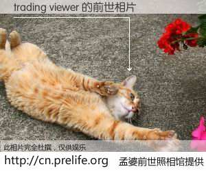 #孟婆前世照相馆# 【trading viewer 的前世相片】我们都曾从奈何桥上走过，喝下三碗忘川之水烹煮的孟婆汤，忘却了前尘旧事。孟婆前世照相馆，保存着你前世的数码相片。trading viewer 的前世相片，有图有真相：