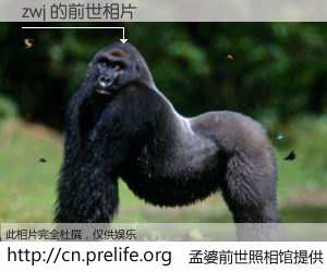 #孟婆前世照相馆# 【zwj 的前世相片】我们都曾从奈何桥上走过，喝下三碗忘川之水烹煮的孟婆汤，忘却了前尘旧事。孟婆前世照相馆，保存着你前世的数码相片。zwj 的前世相片，有图有真相：
