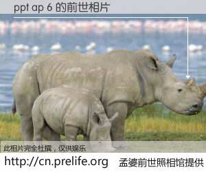 #孟婆前世照相馆# 【ppt ap 6 的前世相片】我们都曾从奈何桥上走过，喝下三碗忘川之水烹煮的孟婆汤，忘却了前尘旧事。孟婆前世照相馆，保存着你前世的数码相片。ppt ap 6 的前世相片，有图有真相：