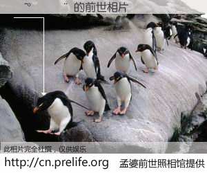 #孟婆前世照相馆# 【�^���� 的前世相片】我们都曾从奈何桥上走过，喝下三碗忘川之水烹煮的孟婆汤，忘却了前尘旧事。孟婆前世照相馆，保存着你前世的数码相片。�^���� 的前世相片，有图有真相：