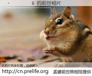 #孟婆前世照相馆# 【������ 的前世相片】我们都曾从奈何桥上走过，喝下三碗忘川之水烹煮的孟婆汤，忘却了前尘旧事。孟婆前世照相馆，保存着你前世的数码相片。������ 的前世相片，有图有真相：