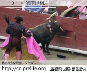 #孟婆前世照相馆# 【���� 的前世相片】我们都曾从奈何桥上走过，喝下三碗忘川之水烹煮的孟婆汤，忘却了前尘旧事。孟婆前世照相馆，保存着你前世的数码相片。���� 的前世相片，有图有真相：