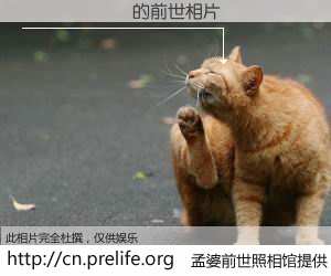 #孟婆前世照相馆# 【���� 的前世相片】我们都曾从奈何桥上走过，喝下三碗忘川之水烹煮的孟婆汤，忘却了前尘旧事。孟婆前世照相馆，保存着你前世的数码相片。���� 的前世相片，有图有真相：