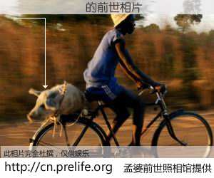 #孟婆前世照相馆# 【���� 的前世相片】我们都曾从奈何桥上走过，喝下三碗忘川之水烹煮的孟婆汤，忘却了前尘旧事。孟婆前世照相馆，保存着你前世的数码相片。���� 的前世相片，有图有真相：