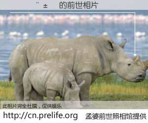 #孟婆前世照相馆# 【������ 的前世相片】我们都曾从奈何桥上走过，喝下三碗忘川之水烹煮的孟婆汤，忘却了前尘旧事。孟婆前世照相馆，保存着你前世的数码相片。������ 的前世相片，有图有真相：