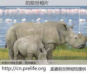 #孟婆前世照相馆# 【���㷢 的前世相片】我们都曾从奈何桥上走过，喝下三碗忘川之水烹煮的孟婆汤，忘却了前尘旧事。孟婆前世照相馆，保存着你前世的数码相片。���㷢 的前世相片，有图有真相：