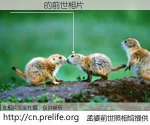 #孟婆前世照相馆# 【���Ứ 的前世相片】我们都曾从奈何桥上走过，喝下三碗忘川之水烹煮的孟婆汤，忘却了前尘旧事。孟婆前世照相馆，保存着你前世的数码相片。���Ứ 的前世相片，有图有真相：