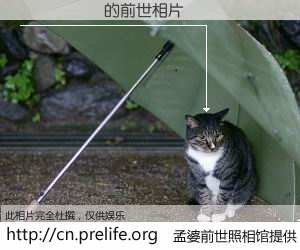 #孟婆前世照相馆# 【����ͨ 的前世相片】我们都曾从奈何桥上走过，喝下三碗忘川之水烹煮的孟婆汤，忘却了前尘旧事。孟婆前世照相馆，保存着你前世的数码相片。����ͨ 的前世相片，有图有真相：