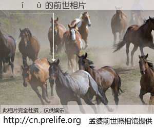 #孟婆前世照相馆# 【���� 的前世相片】我们都曾从奈何桥上走过，喝下三碗忘川之水烹煮的孟婆汤，忘却了前尘旧事。孟婆前世照相馆，保存着你前世的数码相片。���� 的前世相片，有图有真相：