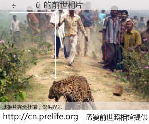 #孟婆前世照相馆# 【÷ʤ�� 的前世相片】我们都曾从奈何桥上走过，喝下三碗忘川之水烹煮的孟婆汤，忘却了前尘旧事。孟婆前世照相馆，保存着你前世的数码相片。÷ʤ�� 的前世相片，有图有真相：