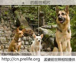 #åŸå©†å‰ä¸–照相馆# ã€ËÎÇå±õ çš„å‰ä¸–相片】我们都曾从奈何桥上走过,å–下三碗忘å·ä¹‹æ°´çƒ¹ç…®çš„åŸå©†æ±¤ï¼Œå¿˜å´äº†å‰å°˜æ—§äº‹ã€‚åŸå©†å‰ä¸–照相馆,ä¿å˜ç€ä½ å‰ä¸–的数ç 相片。ËÎÇå±õ çš„å‰ä¸–相片,有图有真相: