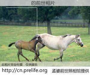 #孟婆前世照相馆# 【���־� 的前世相片】我们都曾从奈何桥上走过，喝下三碗忘川之水烹煮的孟婆汤，忘却了前尘旧事。孟婆前世照相馆，保存着你前世的数码相片。���־� 的前世相片，有图有真相：