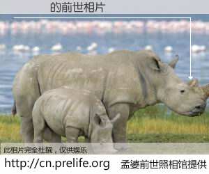 #孟婆前世照相馆# 【Ӣ�� 的前世相片】我们都曾从奈何桥上走过，喝下三碗忘川之水烹煮的孟婆汤，忘却了前尘旧事。孟婆前世照相馆，保存着你前世的数码相片。Ӣ�� 的前世相片，有图有真相：